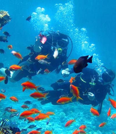 Optional scuba diving trips