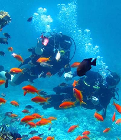 Optional scuba diving trips